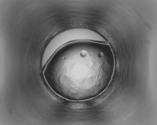 X0000112750449200909031530