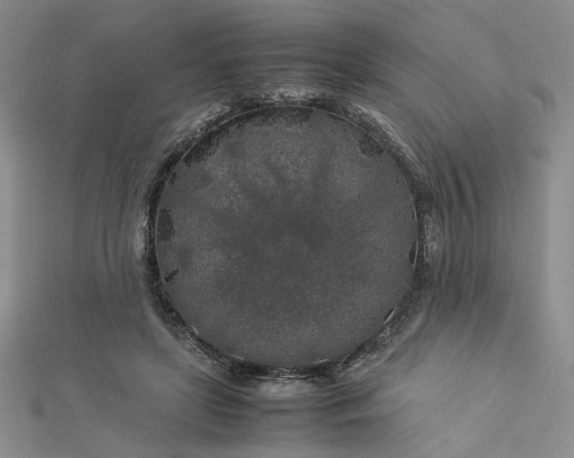 X0000112750451200909031530