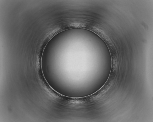 X0000112750453200909031530