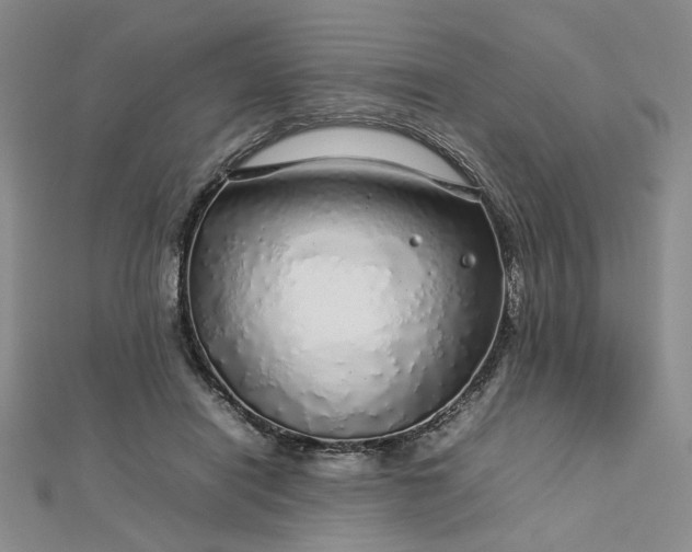 X0000112750454200909031530