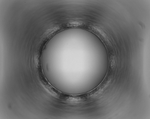 X0000112750455200909031530