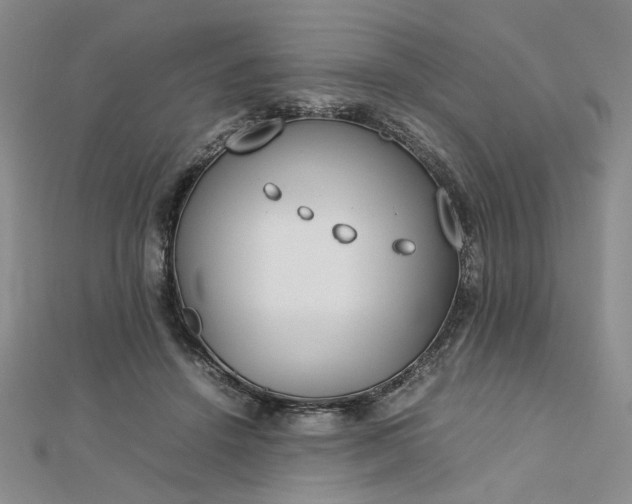 X0000112750456200909031530