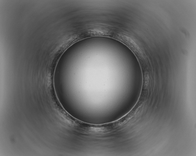 X0000112750457200909031530