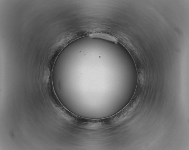 X0000112750458200909031530