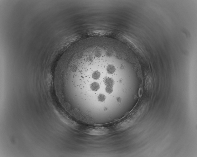 X0000112750459200909031530