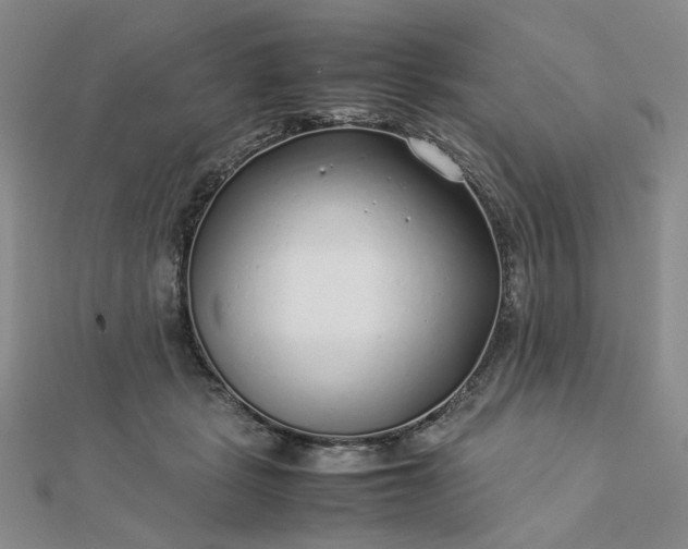 X0000112750461200909031530