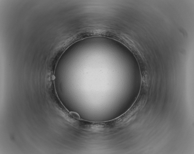 X0000112750462200909031530