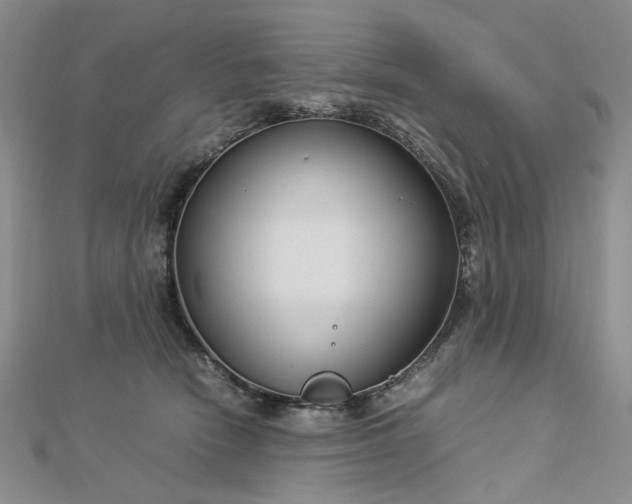 X0000112750466200909031530