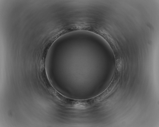 X0000112750471200909031530