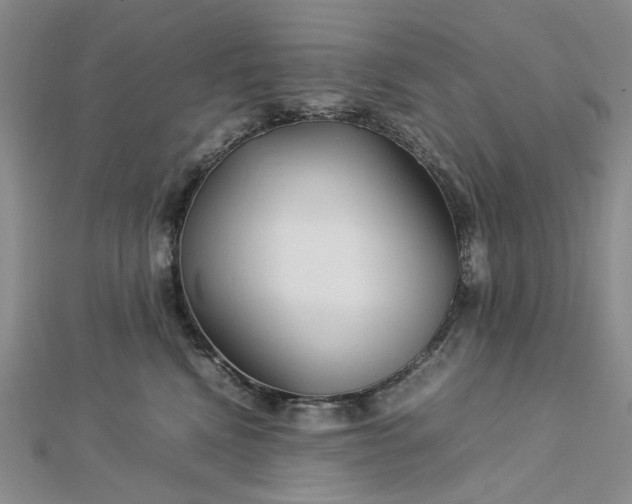 X0000112750472200909031530