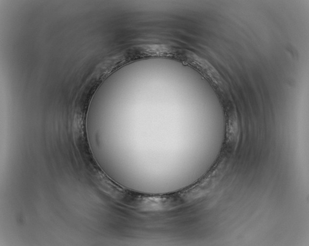 X0000112750473200909031530