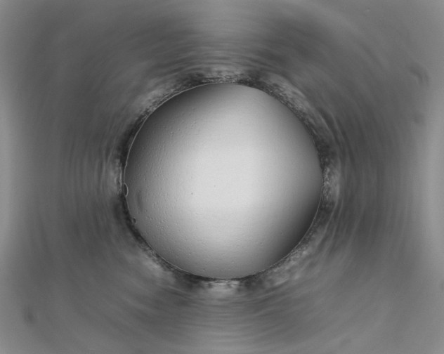 X0000112750474200909031531