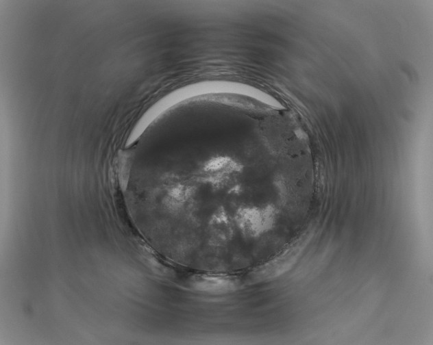 X0000112750475200909031531