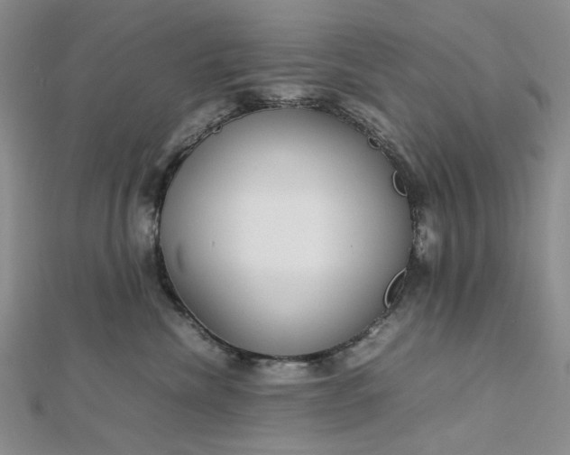 X0000112750476200909031531