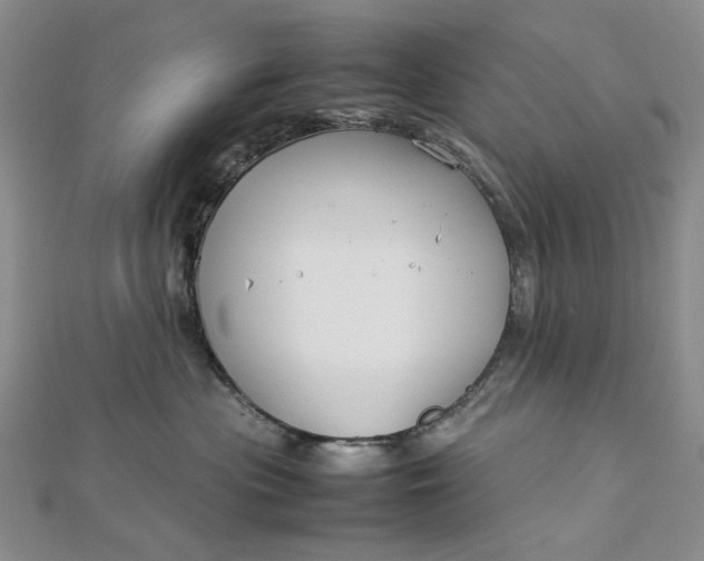 X0000112750477200909031531