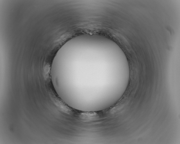 X0000112750480200909031531