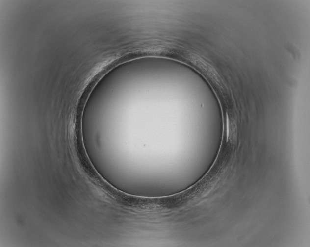 X0000112750483200909031530