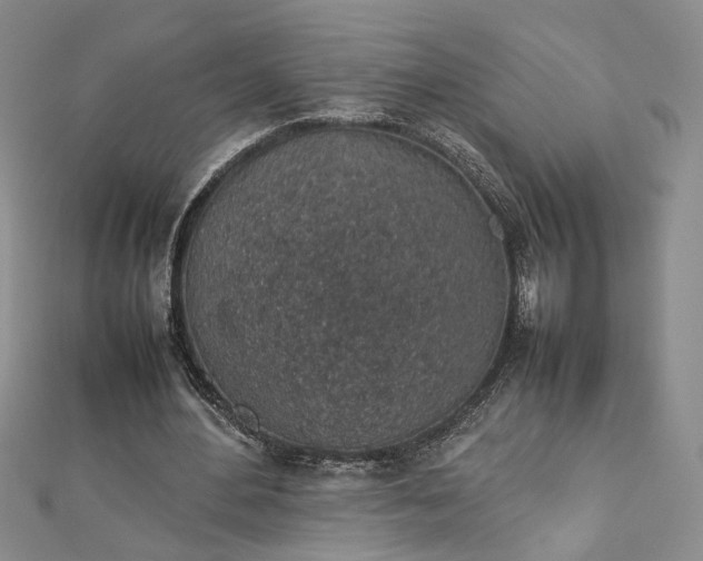 X0000112750484200909031530