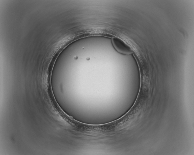 X0000112750485200909031530