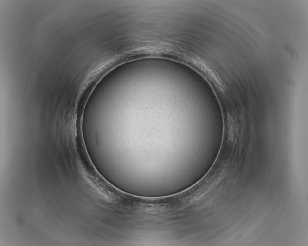 X0000112750486200909031530