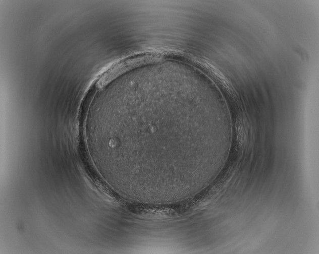 X0000112750488200909031530