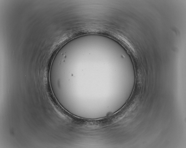 X0000112750489200909031530