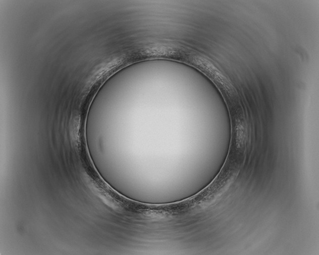 X0000112750490200909031530