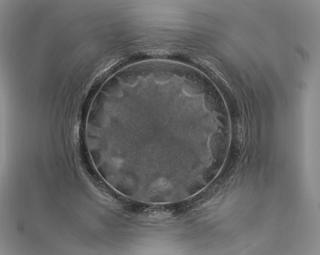 X0000112750491200909031530