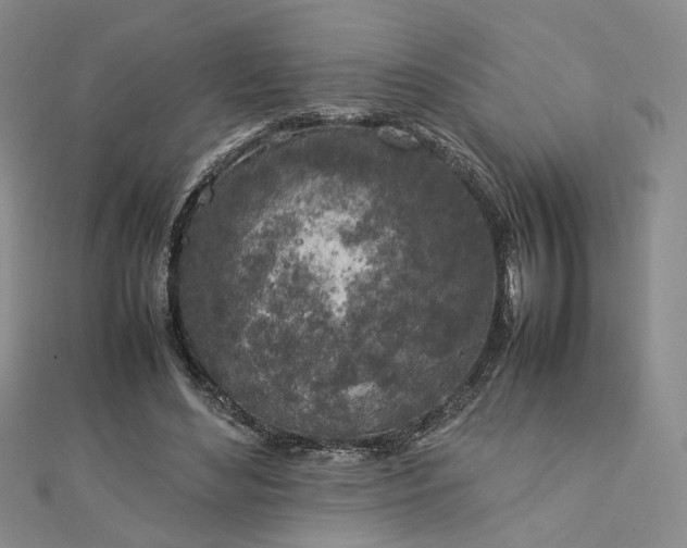 X0000112750492200909031530