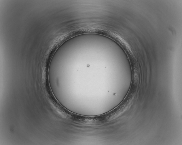 X0000112750493200909031530