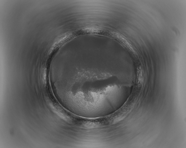 X0000112750494200909031530