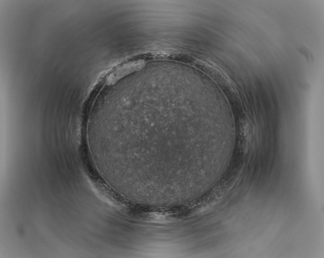 X0000112750496200909031530