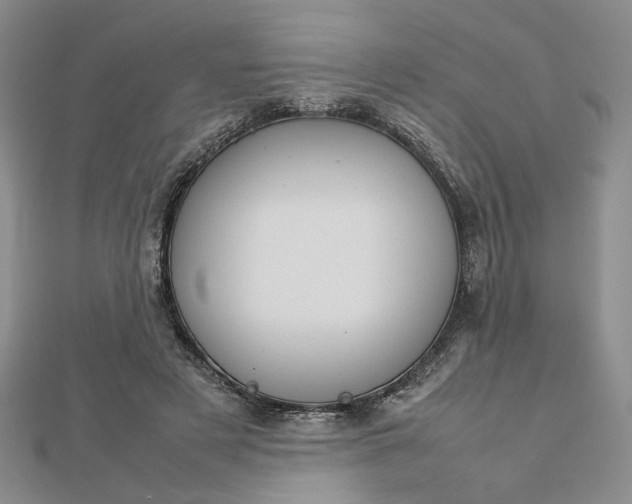 X0000112750497200909031530