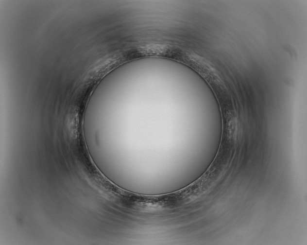 X0000112750498200909031530