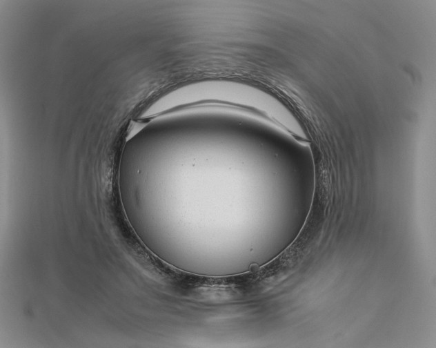 X0000112750499200909031530