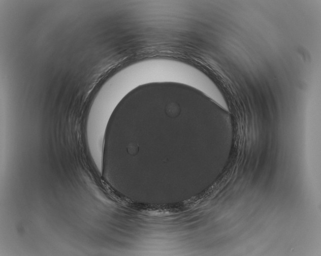 X0000112750500200909031530