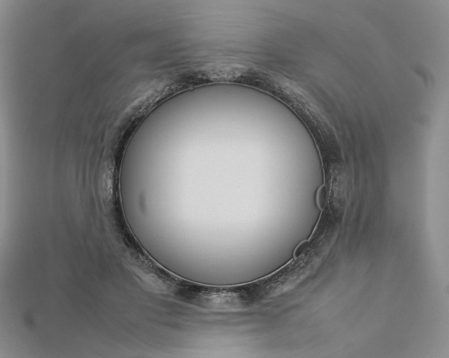 X0000112750501200909031530