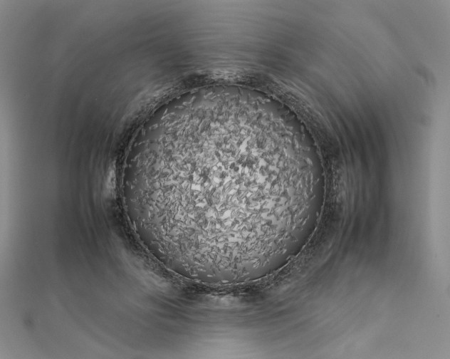 X0000112750502200909031530