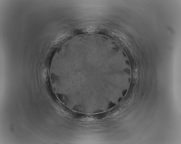 X0000112750503200909031530