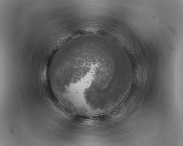 X0000112750504200909031530