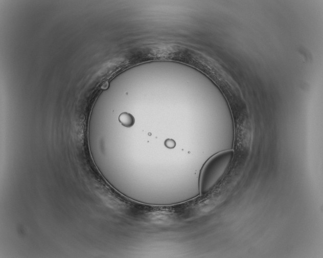 X0000112750505200909031529