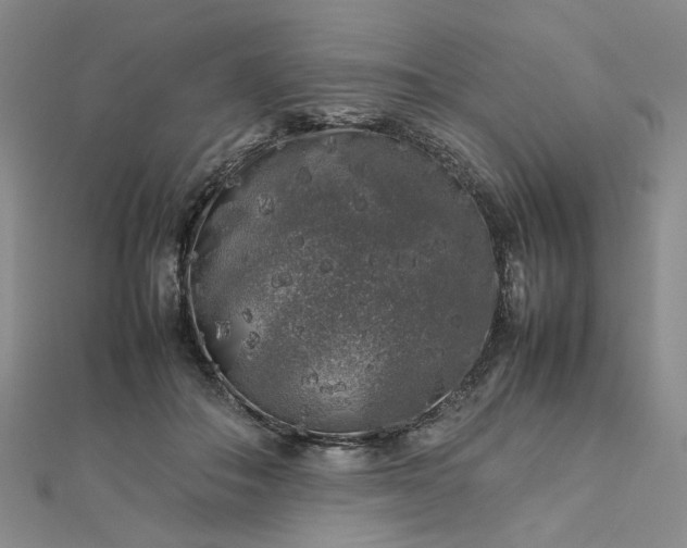 X0000112750506200909031529