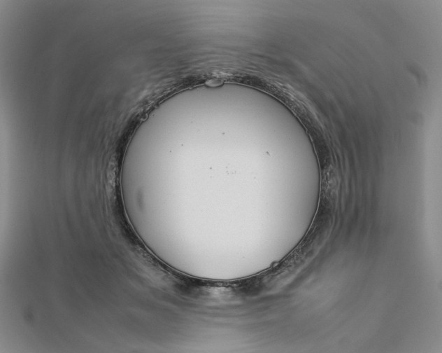 X0000112750509200909031529