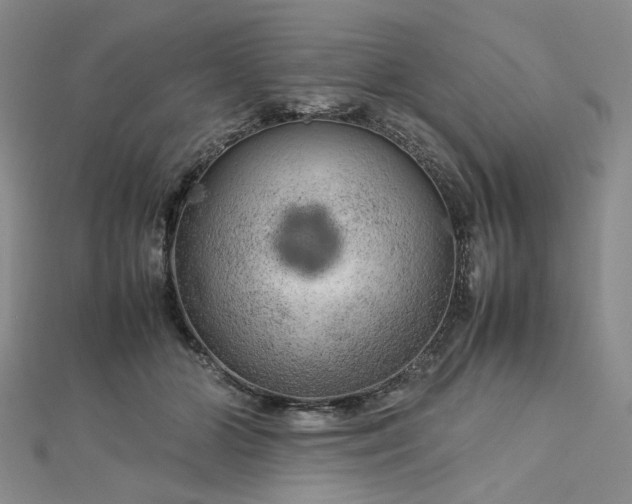 X0000112750510200909031529