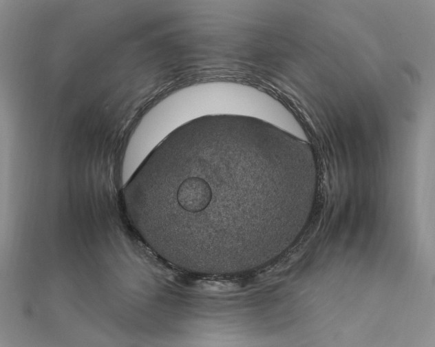 X0000112750512200909031529