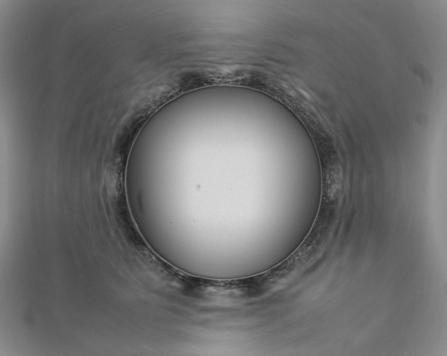 X0000112750515200909031529