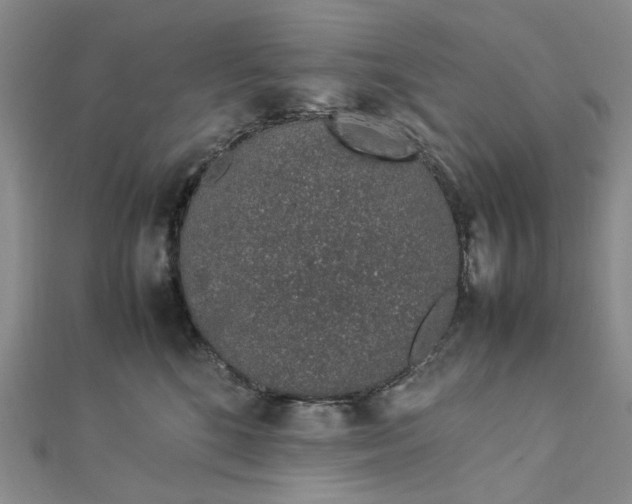 X0000112750520200909031529