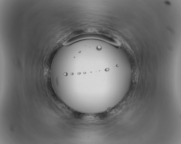 X0000112750521200909031529