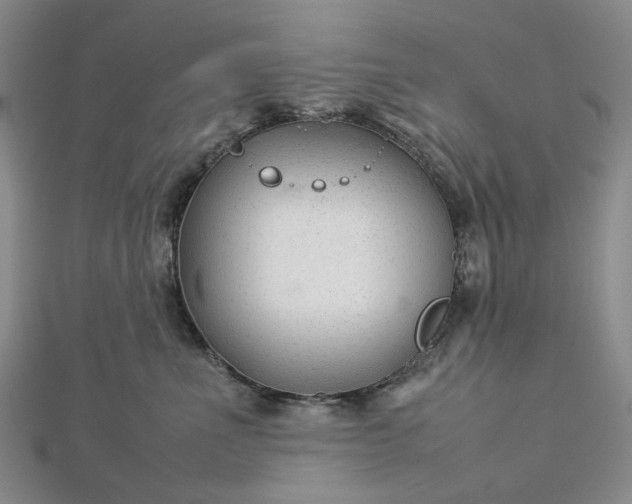 X0000112750523200909031529