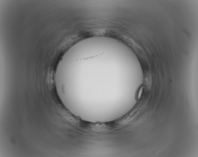 X0000112750525200909031529